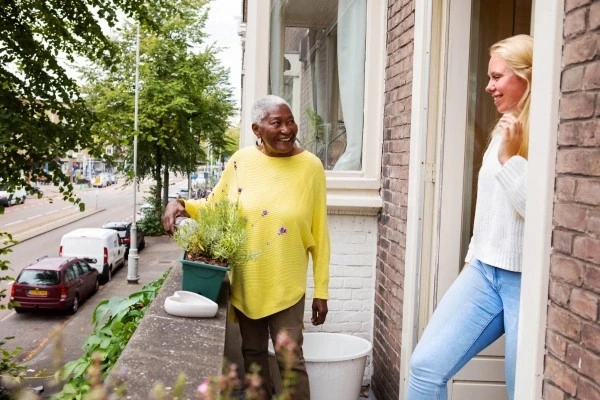 Onder de Pannen